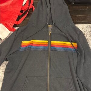 Gray Hoodie with Colorful Stripes
